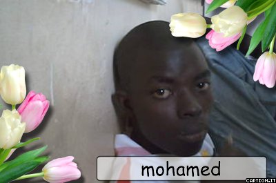 mohamed dia